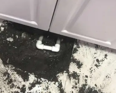 浉河查漏水哪家好