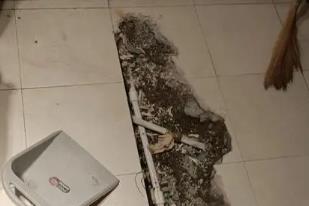 浉河卫生间漏水检测电话